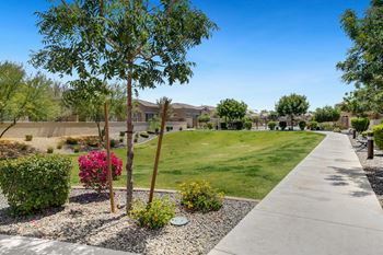 Walking paths